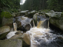 Vydra (rivière)